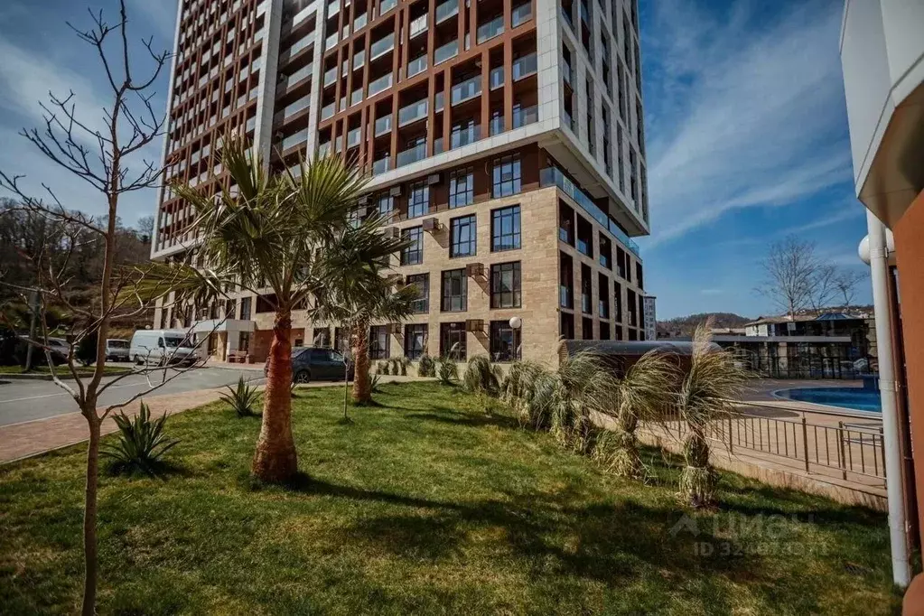 Студия Краснодарский край, Сочи городской округ, Дагомыс пгт ш. ... - Фото 2