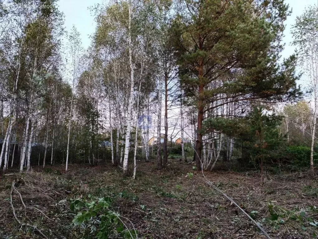 Участок в Тюменская область, Нижнетавдинский муниципальный округ, ... - Фото 2