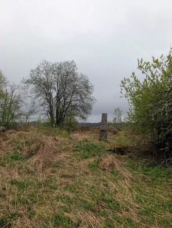 Участок в Ленинградская область, Приозерский район, Ларионовское с/пос ... - Фото 1