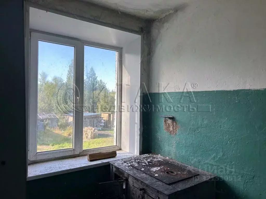 2-к кв. Ленинградская область, Лодейнопольский район, Доможировское ... - Фото 1