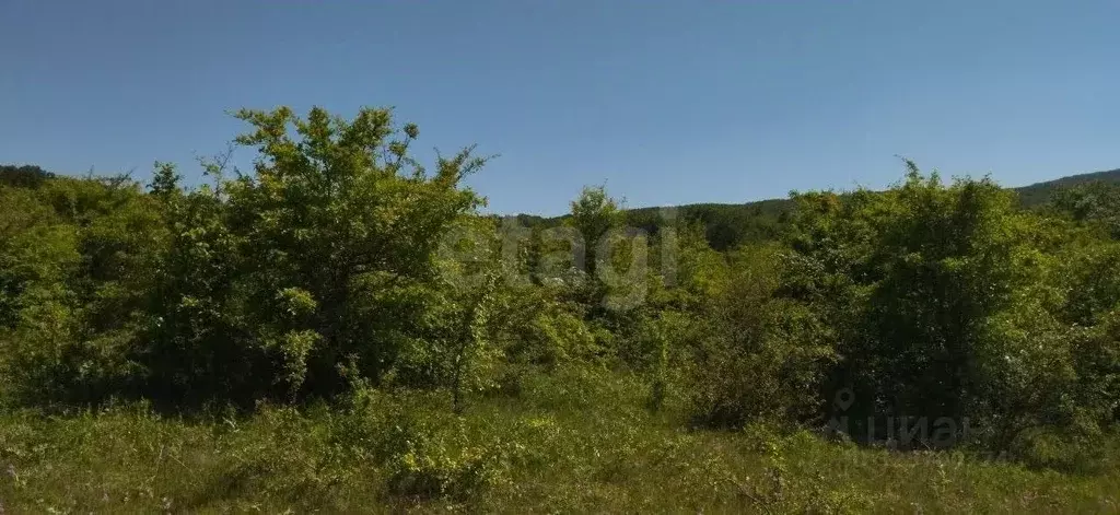 Участок в Крым, Кировский район, Старый Крым городское поселение ул. ... - Фото 1