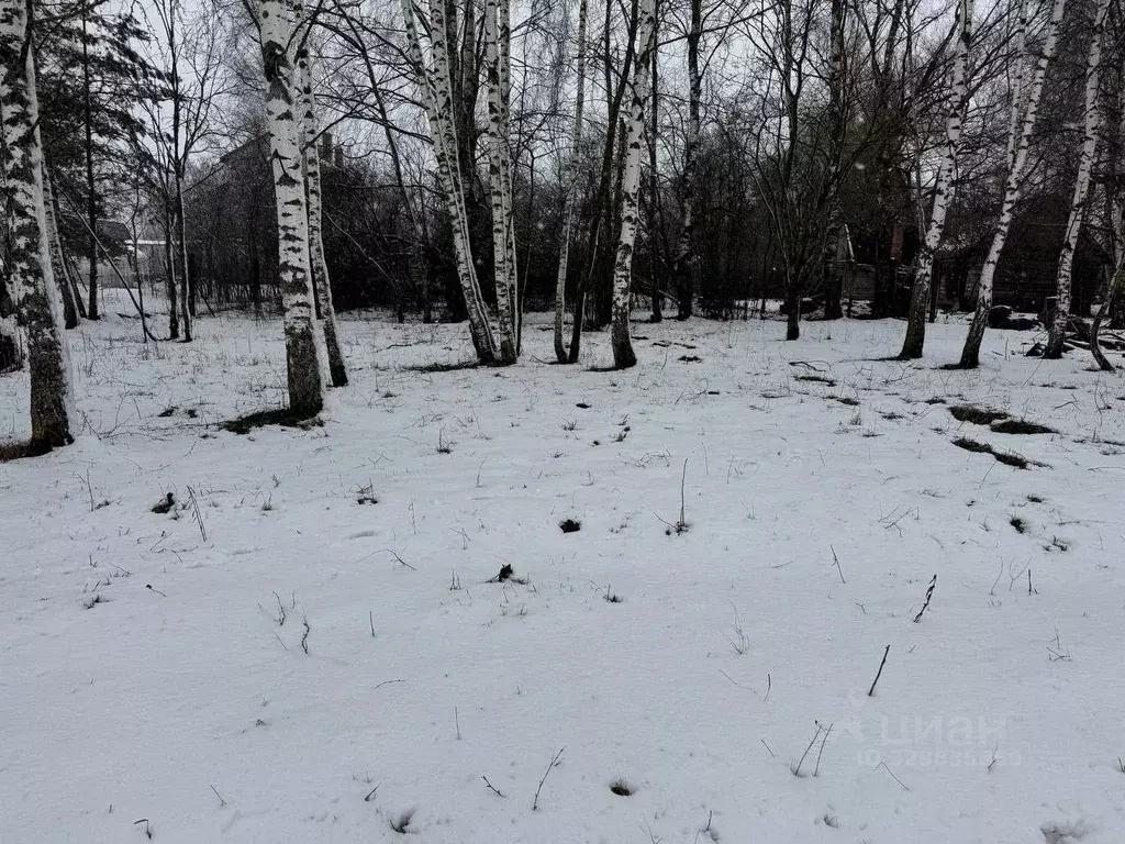 Участок в Московская область, Богородский городской округ, д. Боково ... - Фото 1