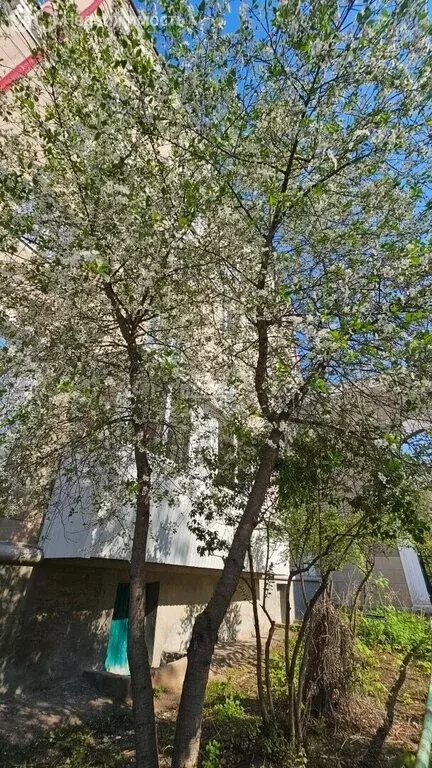 2-комнатная квартира: Октябрьский, проспект Ленина, 9 (56.8 м) - Фото 1