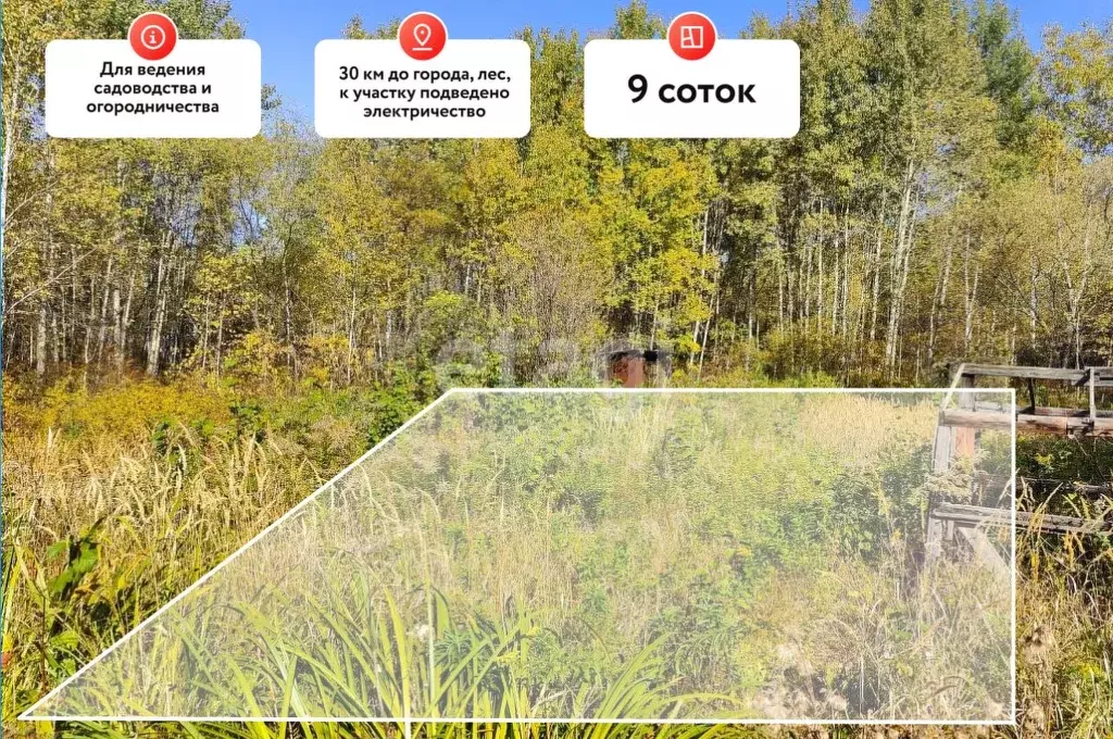 Участок в Хабаровский край, Хабаровский район, Зубровое СНТ 595 (8.99 ... - Фото 1