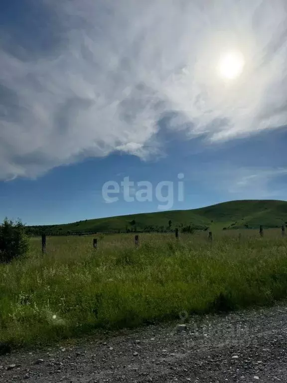 Участок в Алтай, Майминский район, с. Подгорное  (103.7 сот.) - Фото 1