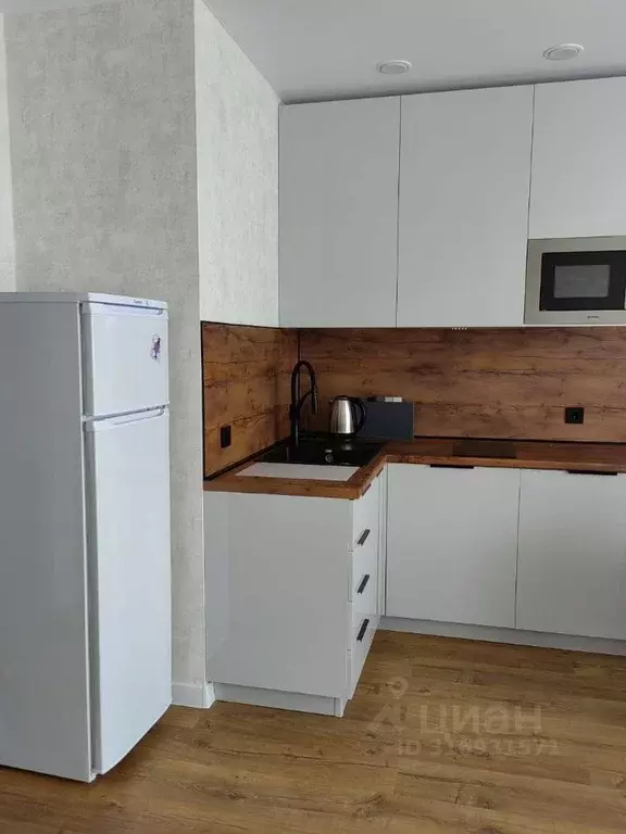 Студия Самарская область, Самара Революционная ул., 103А (33.0 м) - Фото 1