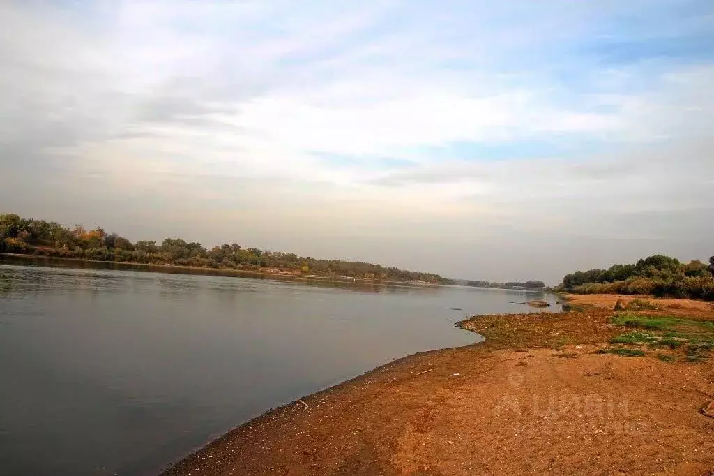 Участок в Тульская область, Ясногорский район, Иваньковское с/пос, д. ... - Фото 2