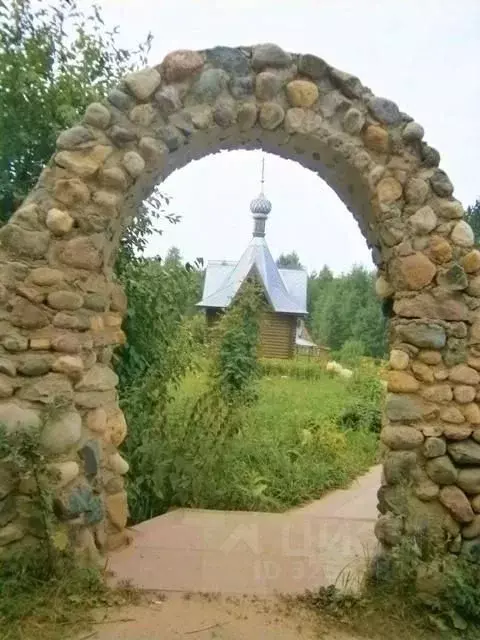 Участок в Ярославская область, Переславль-Залесский муниципальный ... - Фото 2