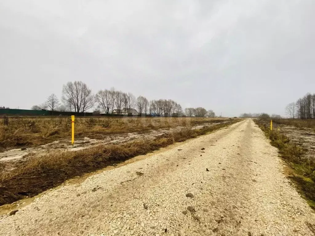 Участок в Владимирская область, Муром д. Макаровка,  (14.2 сот.) - Фото 2