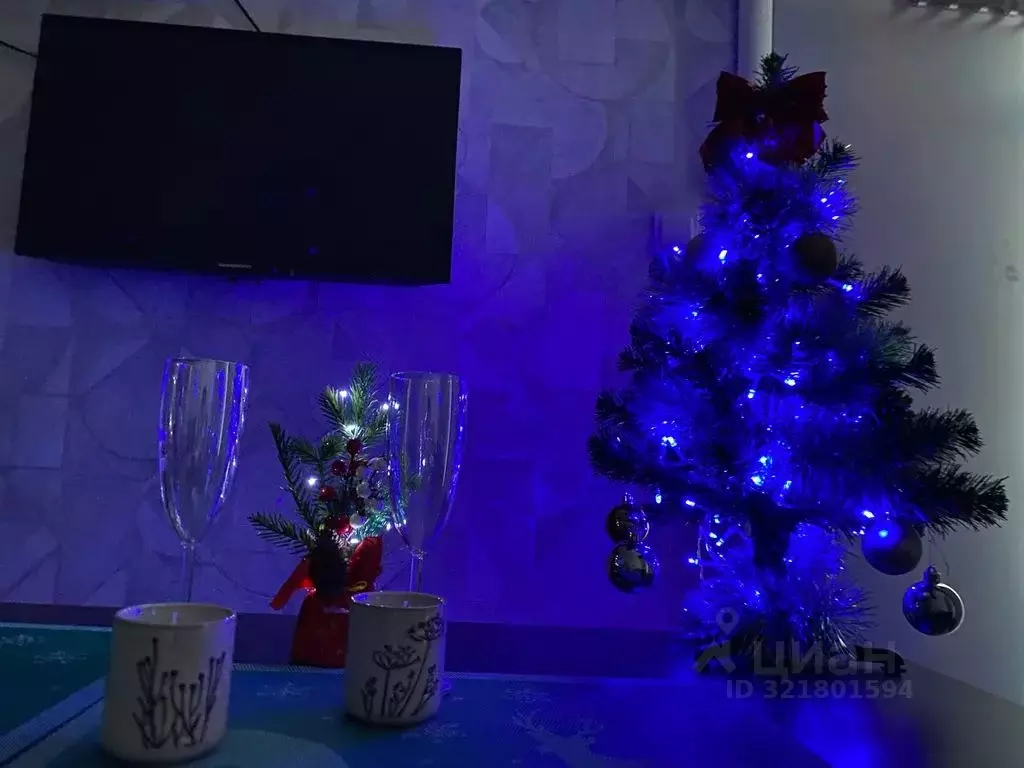 Студия Ленинградская область, Выборг ул. Сторожевой Башни, 10 (16.0 м) - Фото 2