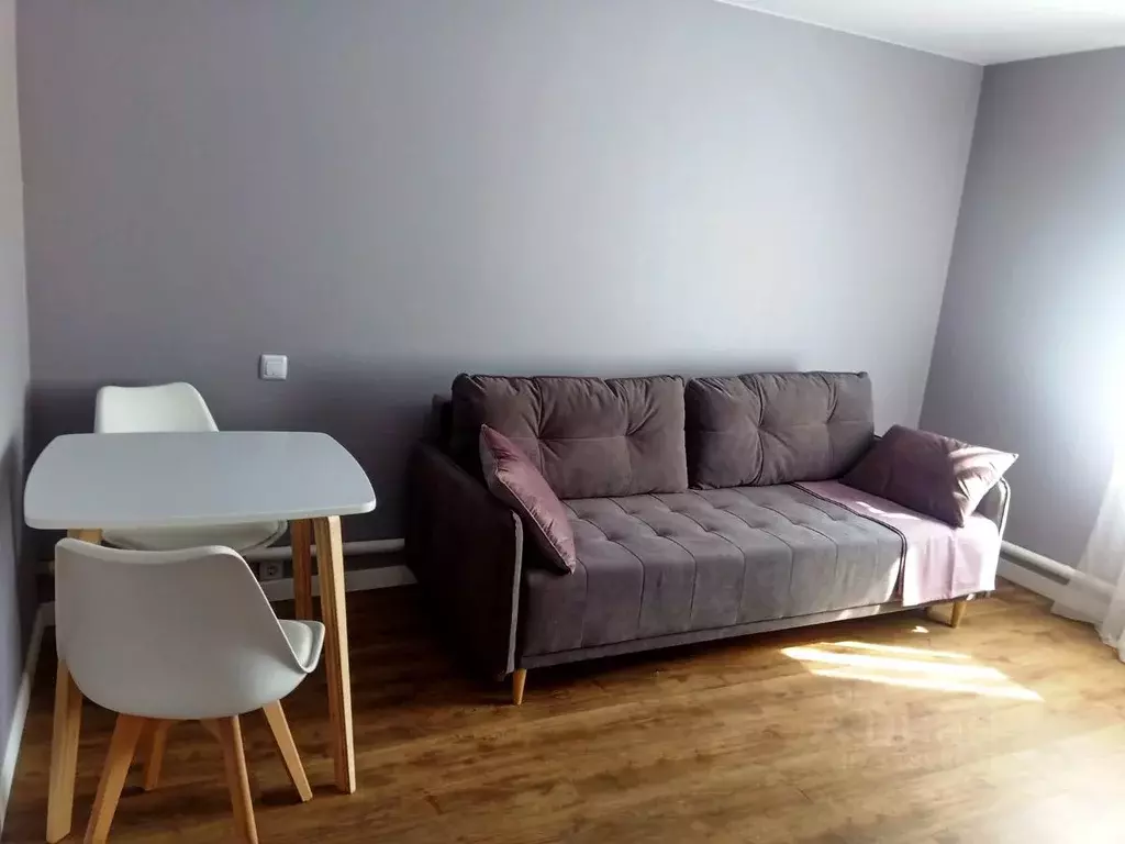 1-к кв. Санкт-Петербург 5-я Советская ул., 19 (25.0 м) - Фото 2