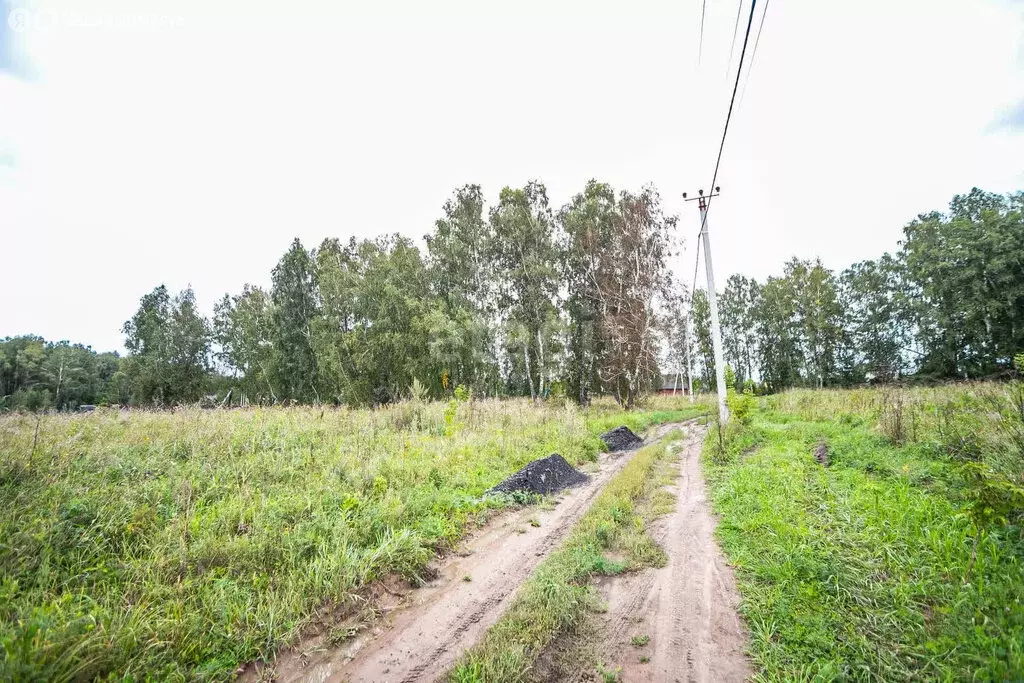 Участок в Искитимский район, Степной сельсовет, посёлок Раздольный ... - Фото 1