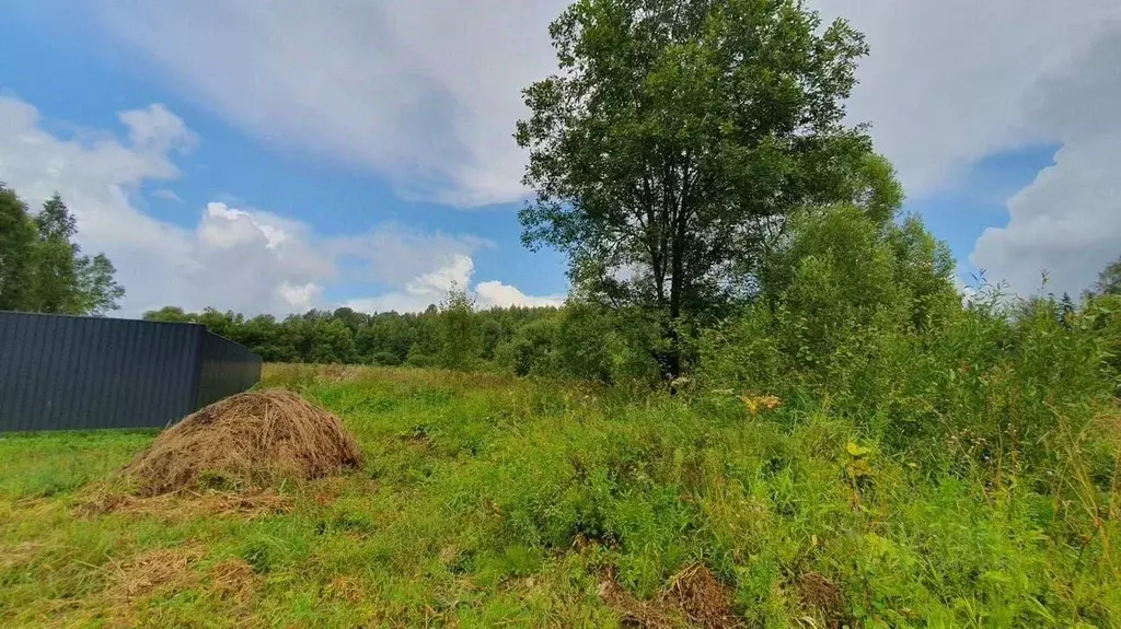 Участок в Московская область, Рузский муниципальный округ  (12.0 сот.) - Фото 1