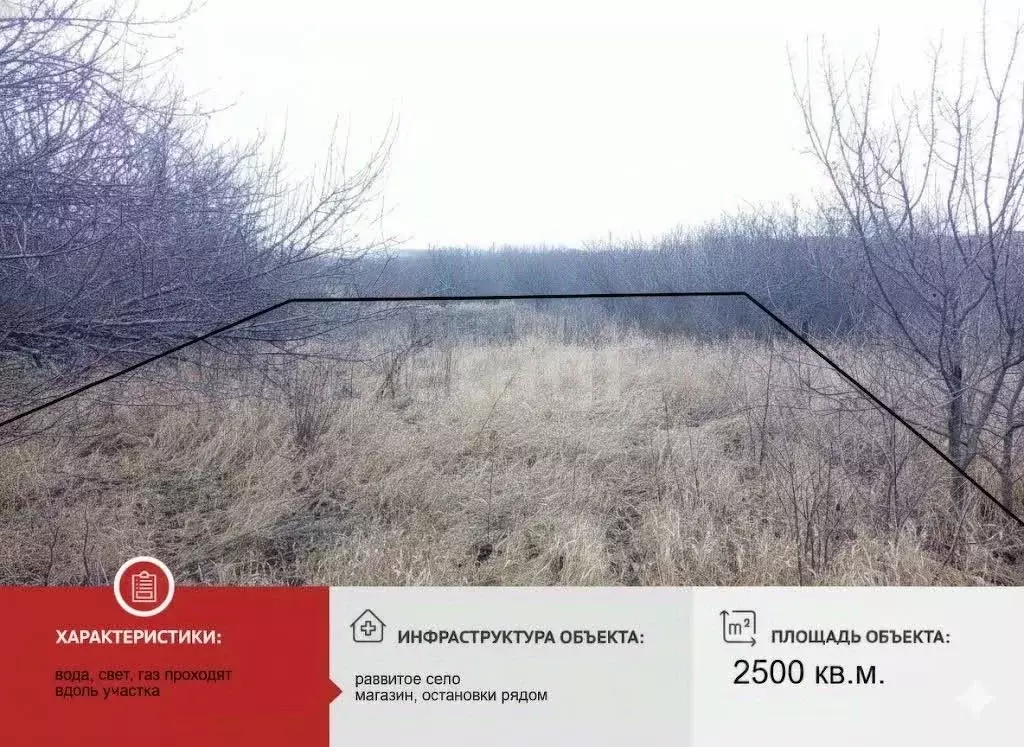 Участок в Белгородская область, Губкинский городской округ, с. ... - Фото 1