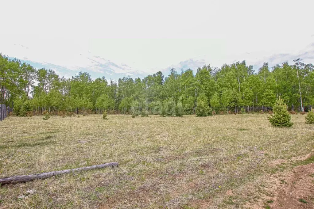Участок в Бурятия, Кабанский район, с. Сухая  (134.4 сот.) - Фото 2
