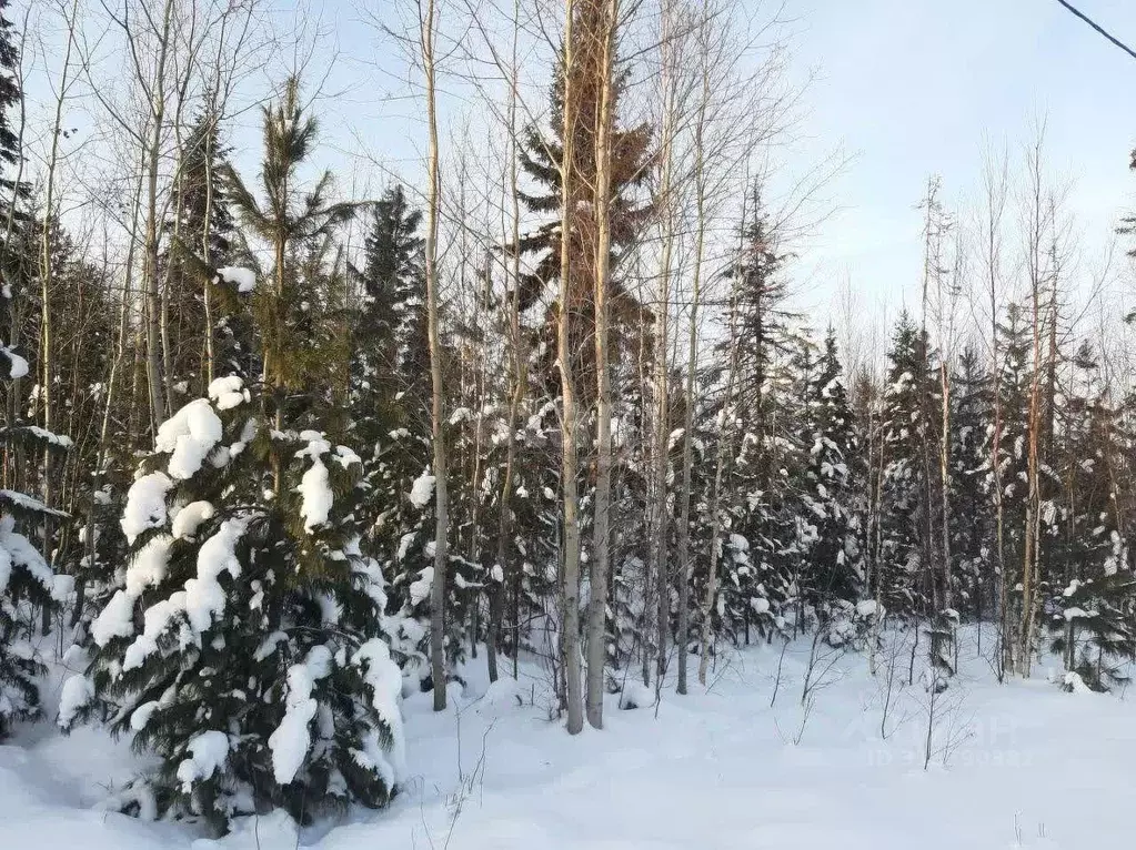 Участок в Ханты-Мансийский АО, Ханты-Мансийск  (8.4 сот.) - Фото 0