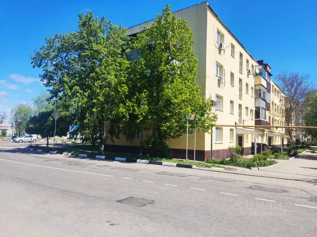 1-к кв. Белгородская область, Волоконовка рп ул. Ленина, 37 (29.0 м) - Фото 0