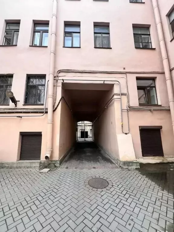 Помещение свободного назначения в Санкт-Петербург пер. Пирогова, 19 ... - Фото 2