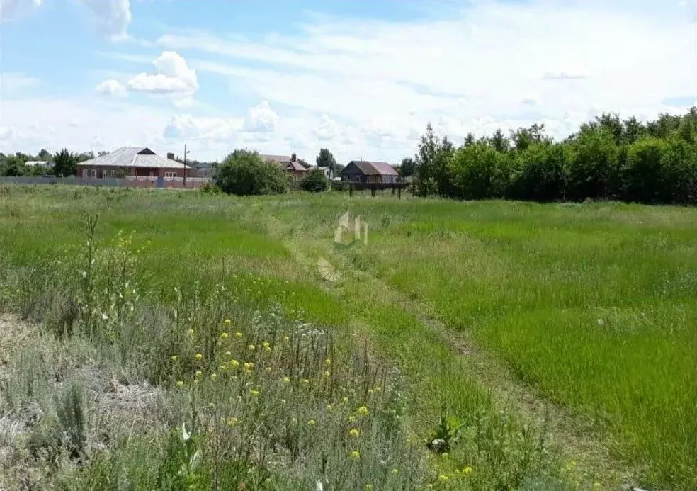 Участок в Саратовская область, Воскресенский район, Елшанское ... - Фото 0