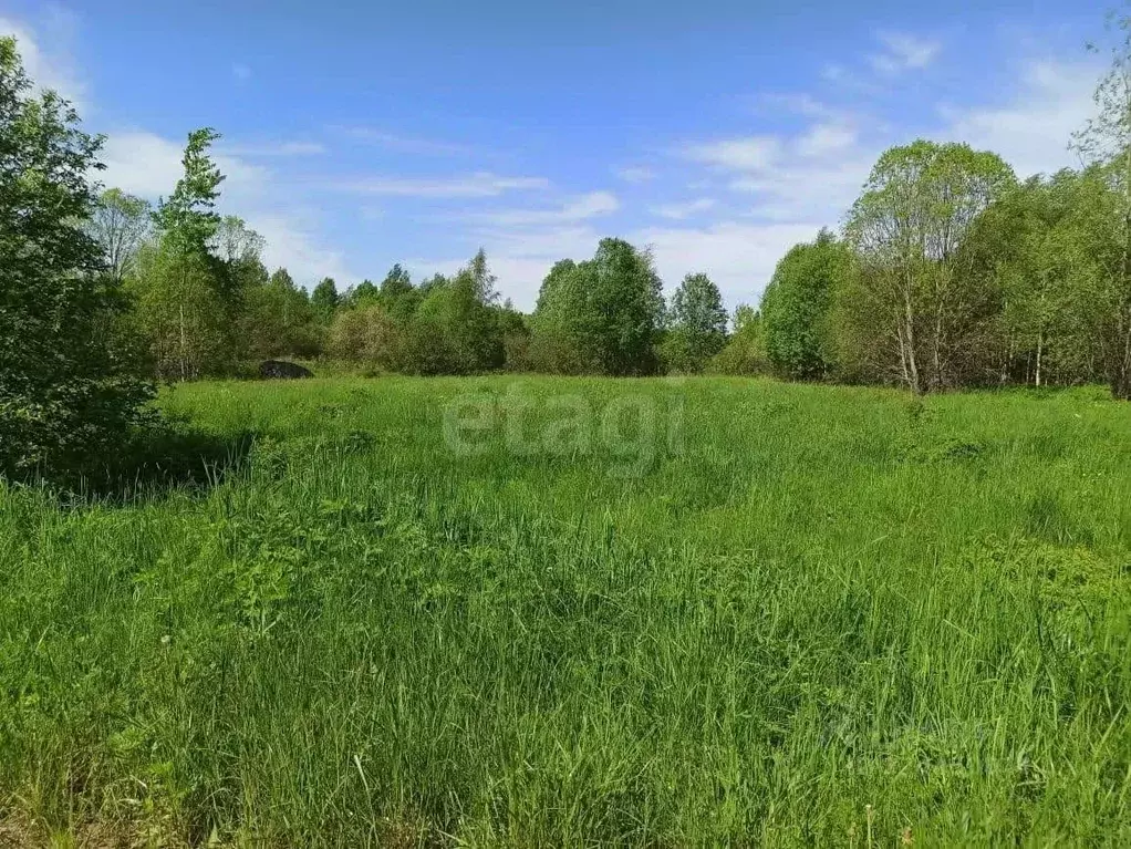 Участок в Ленинградская область, Волховский район, Потанинское с/пос, ... - Фото 1