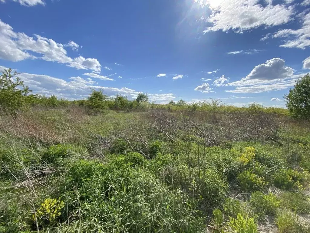 Участок в Калининградская область, Зеленоградский муниципальный округ, ... - Фото 1