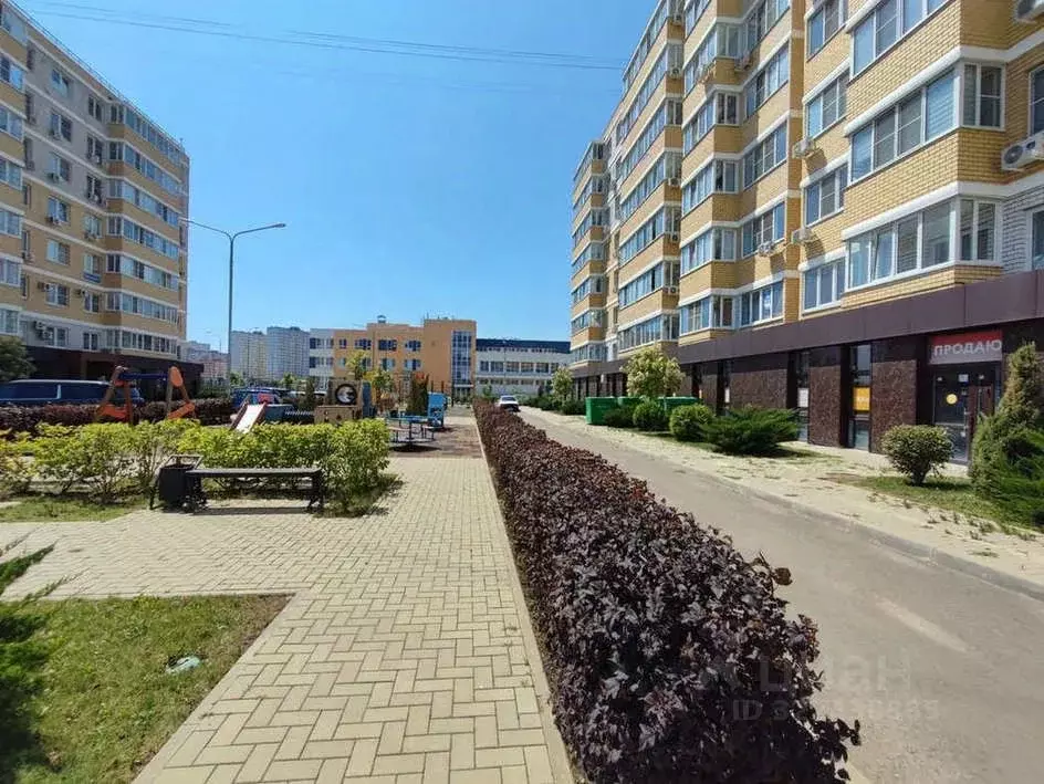 Помещение свободного назначения в Краснодарский край, Краснодар ул. ... - Фото 1