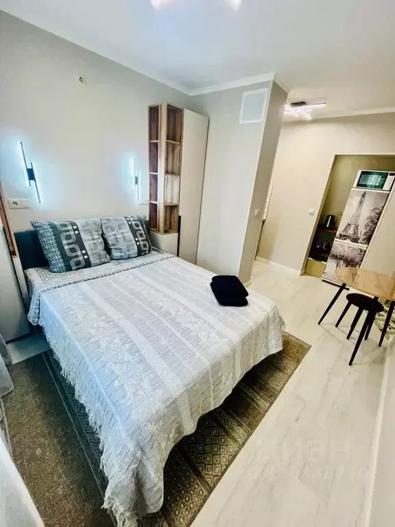 Студия Московская область, Видное 4-й мкр, Солнечный мкр, 1 (25.0 м) - Фото 2