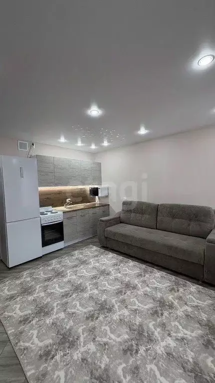 Студия Тюменская область, Тюмень проезд Воронинские горки, 99Б (25.0 ... - Фото 1