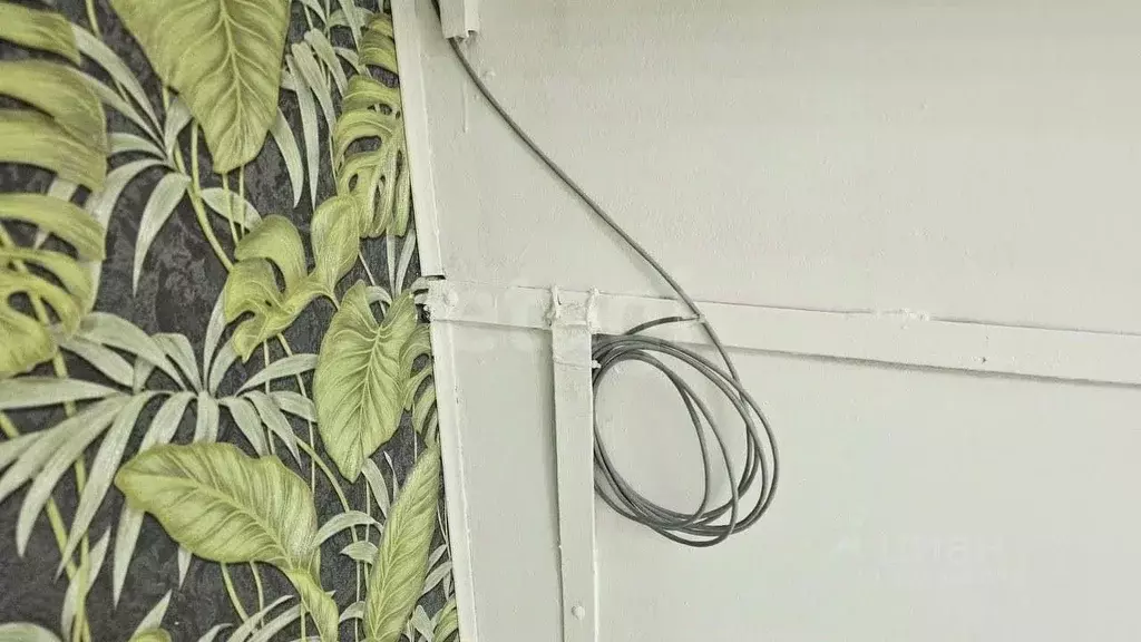 Помещение свободного назначения в Ростовская область, Ростов-на-Дону ... - Фото 1