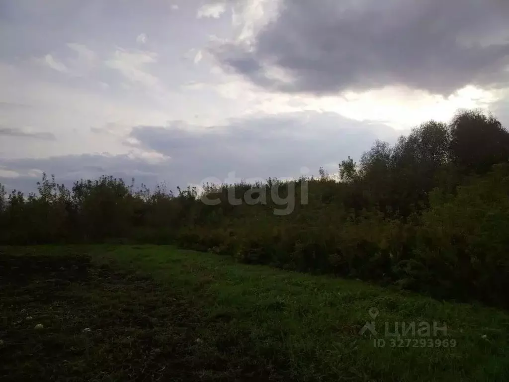 Участок в Алтайский край, Алтайский район, с. Старобелокуриха ... - Фото 2