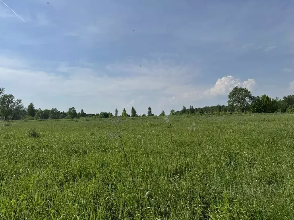 Участок в Московская область, Воскресенск городской округ, д. ... - Фото 2