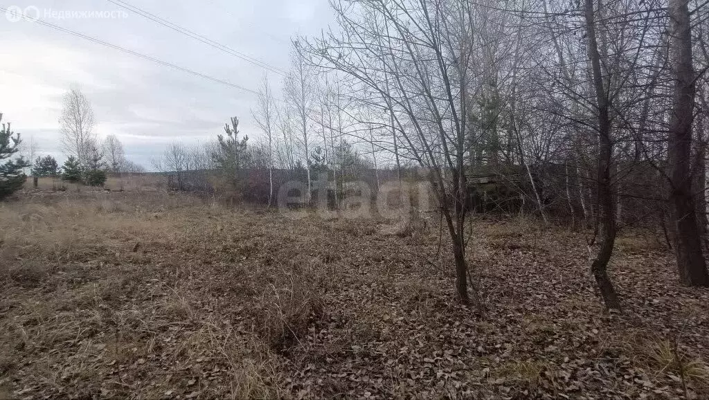 Участок в Кыштым, 2-я Иртяшская улица (20 м) - Фото 1