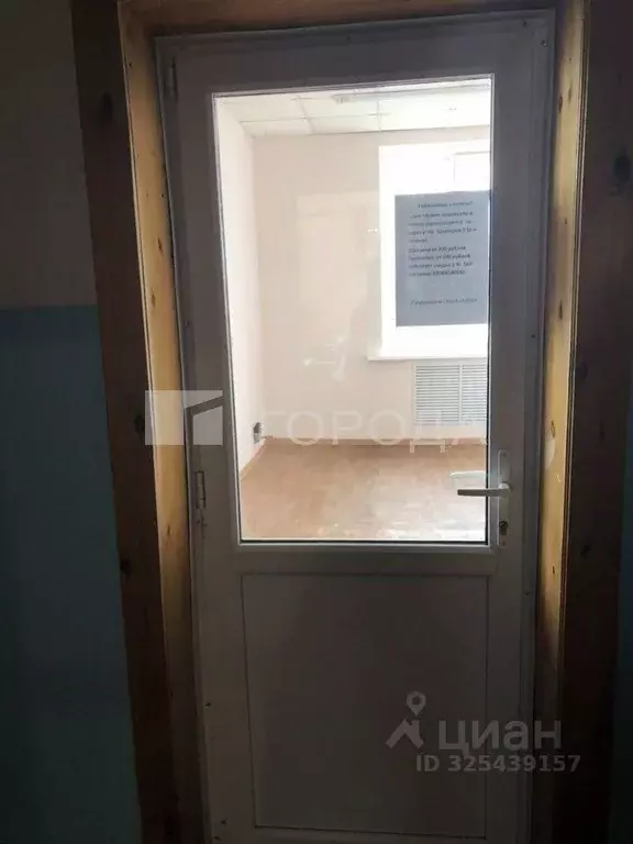 Торговая площадь в Кемеровская область, Прокопьевск ул. Кучина, 1А (20 ... - Фото 1