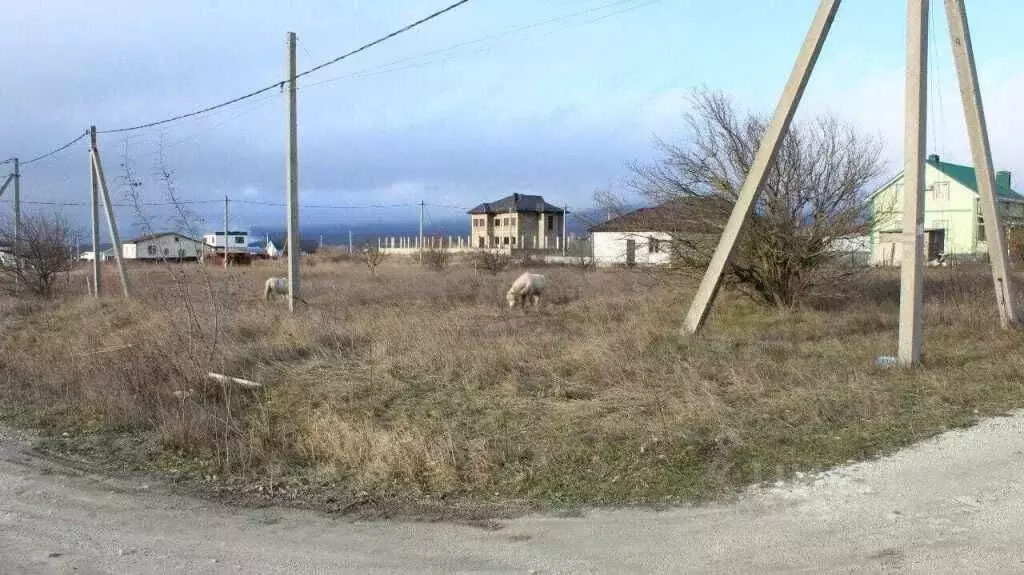 Участок в Краснодарский край, Новороссийск городской округ, ... - Фото 1