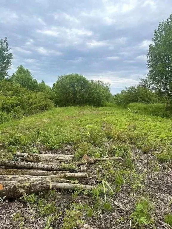 Участок в Новгородская область, Великий Новгород Золотая осень СТ, 6 ... - Фото 2