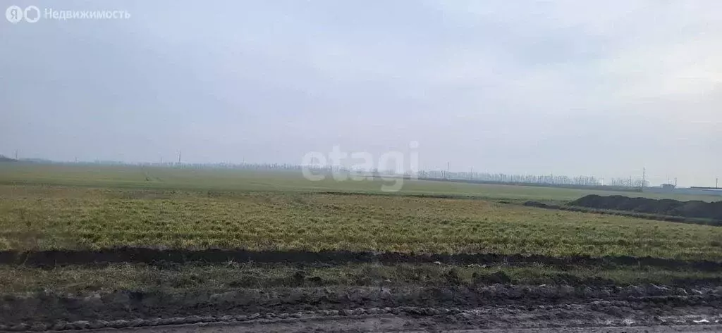 участок в село николаевка, батайская улица (8 м) - Фото 0