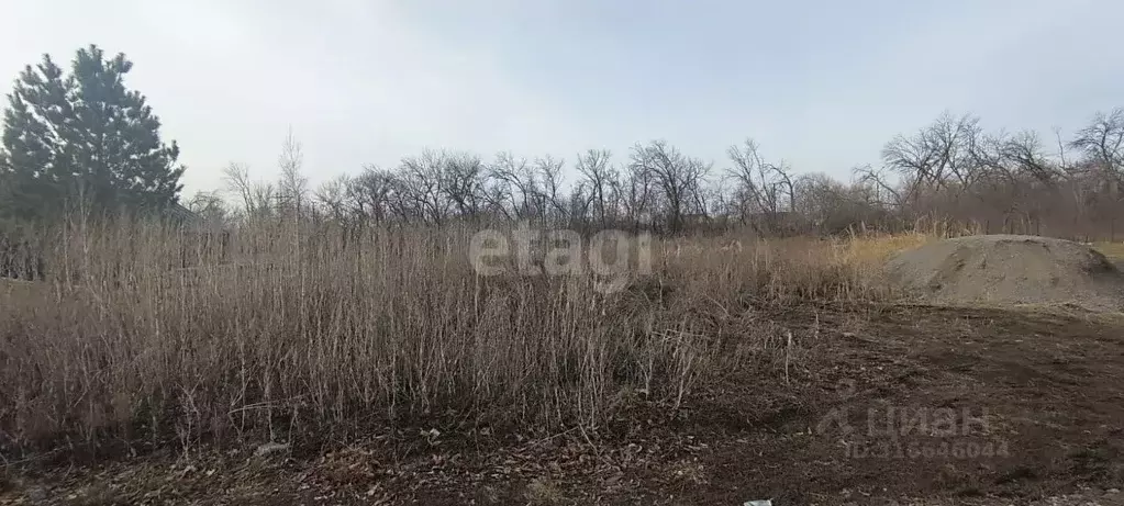 Участок в Воронежская область, Новоусманский район, Усманское 1-е ... - Фото 0