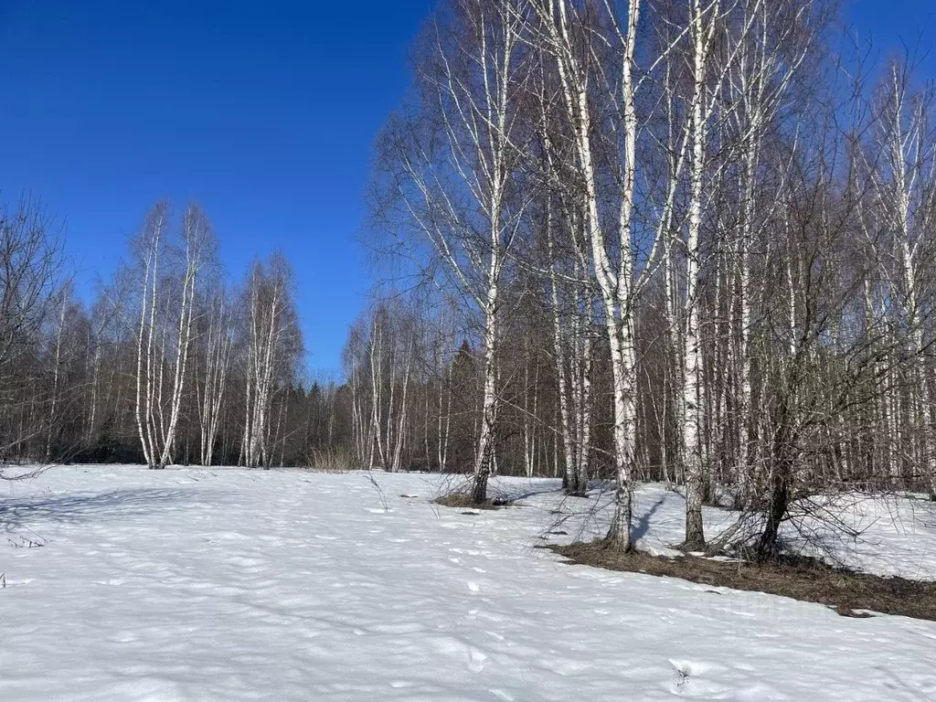 Участок в Московская область, Рузский городской округ, д. Таблово  ... - Фото 1