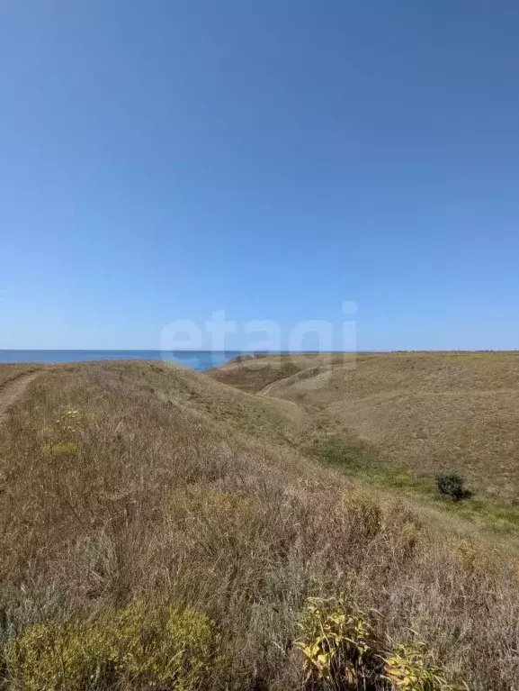 Участок в Крым, Черноморский район, с. Окуневка  (97.66 сот.) - Фото 1