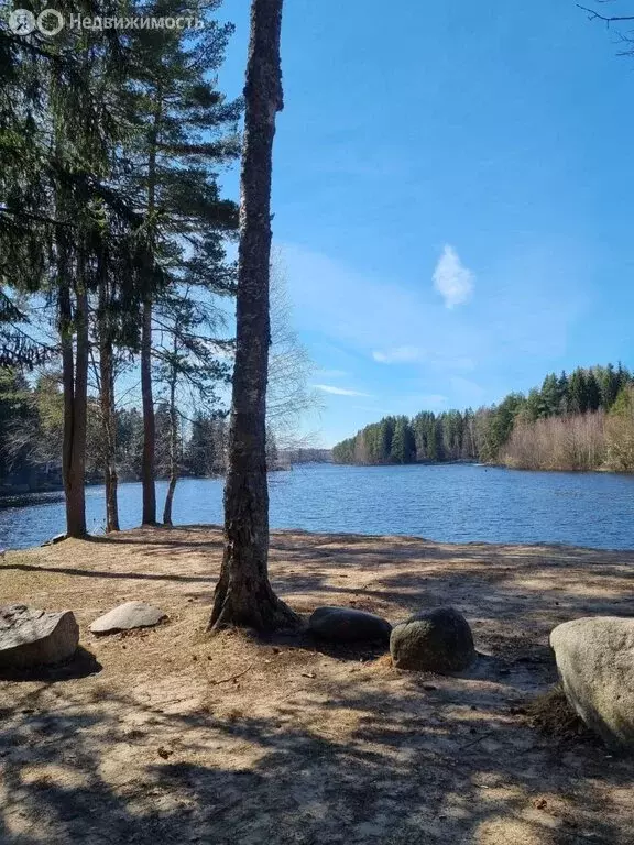 Участок в Рощино, Лесная улица, 2 (20 м) - Фото 0