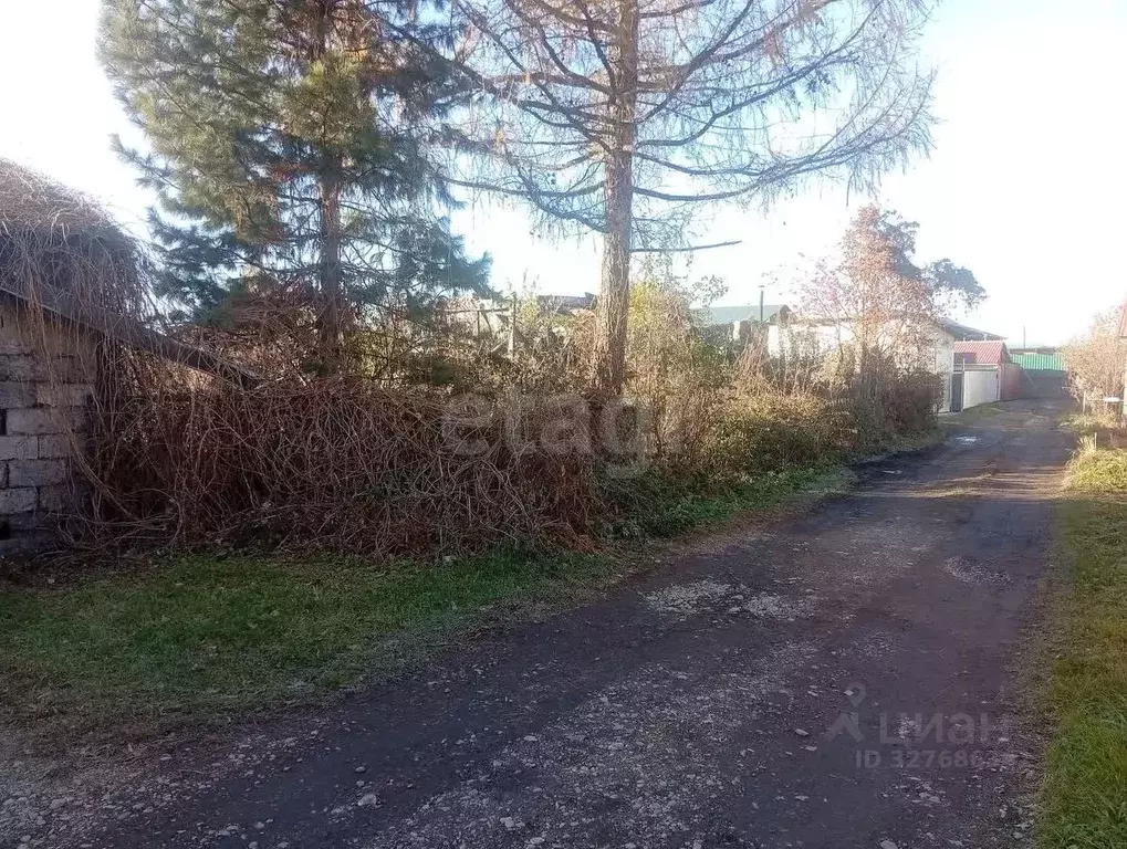 Участок в Алтай, Майминский район, с. Майма Зеленая ул., 3А (6.0 сот.) - Фото 1