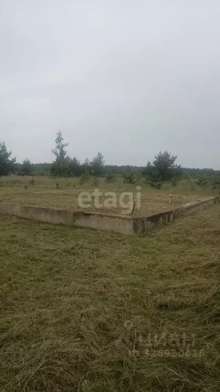 Участок в Липецкая область, Липецк ул. Янтарная (12.0 сот.) - Фото 1