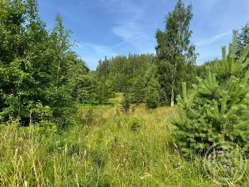 Участок в Ленинградская область, Всеволожский район, Колтушское ... - Фото 1