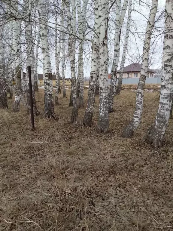 Участок в Омская область, Омский район муниципальный округ, с. ... - Фото 1