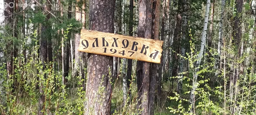 Дом в Свердловская область, Верхняя Пышма (40 м) - Фото 1
