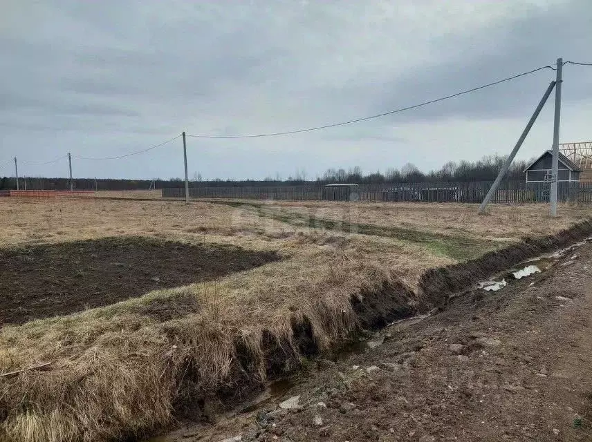 Участок в Вологодская область, Сокольский муниципальный округ, д. ... - Фото 2