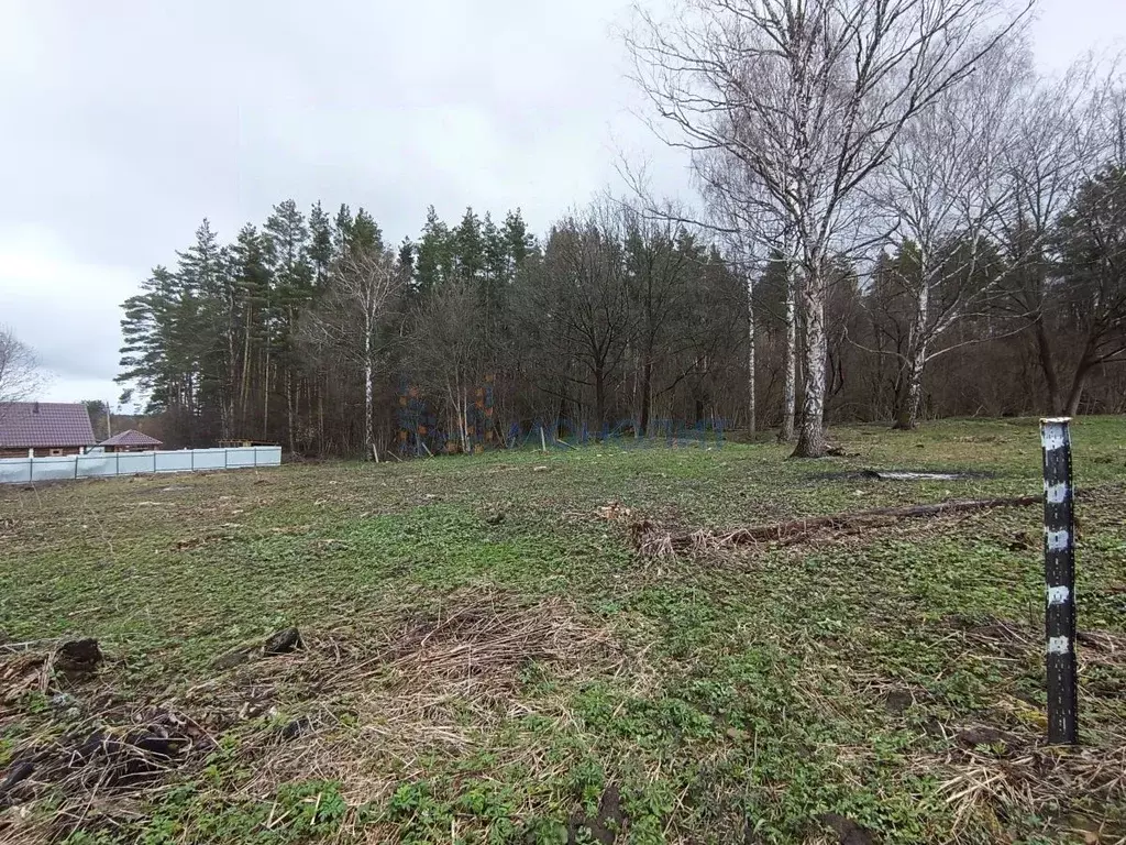 Участок в Нижегородская область, Богородский муниципальный округ, ... - Фото 1