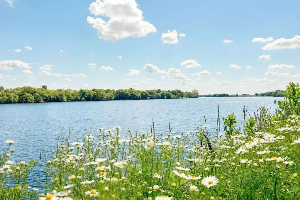 Участок в Московская область, Жуковский Жуковский Лайф кп, 137 (5.86 ... - Фото 1