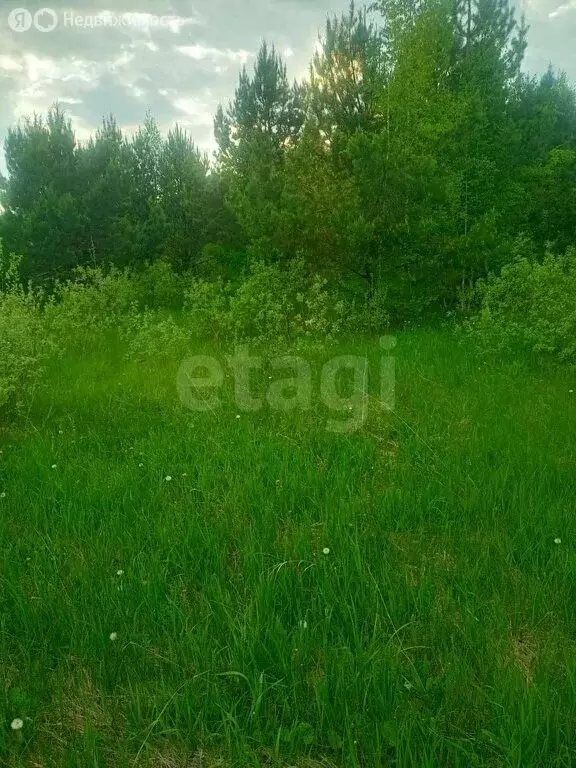 Участок в Нижнетавдинский район, деревня Московка, Центральная улица ... - Фото 1