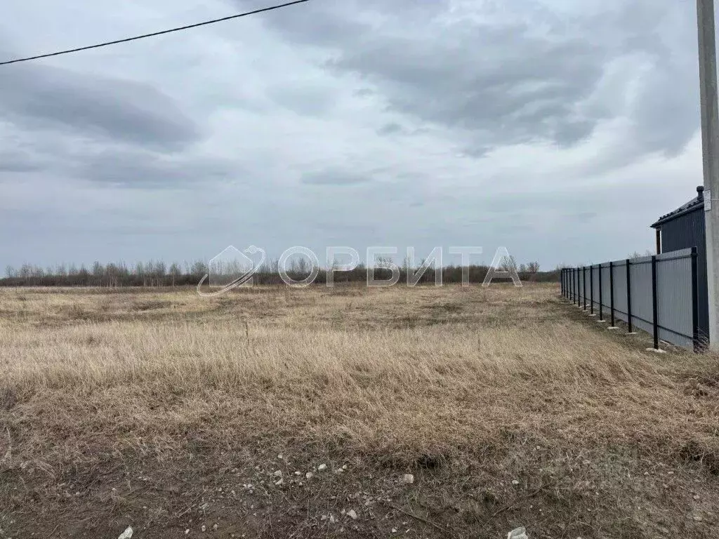 Участок в Тюменская область, Тюменский муниципальный округ, с. Чикча  ... - Фото 1